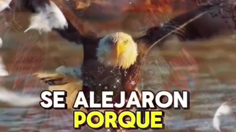 REFLEXIÓN ✨️ ✨️ ✨️ ✨️ ✨️ ✨️ ✨️ ✨️