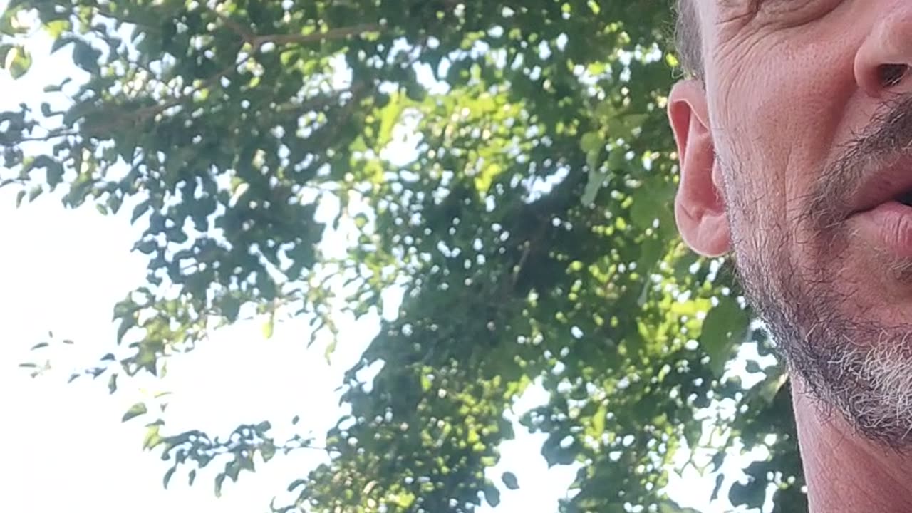 They Live - We keep on sleeping