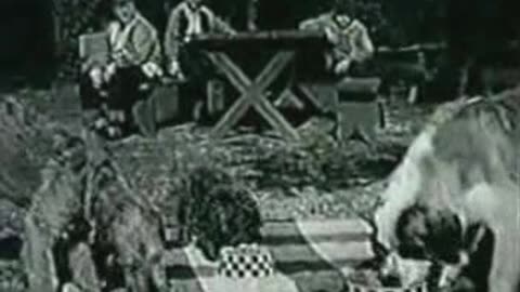 Commercial - Purina Dog Chow w Beaver,Larry & Whitey