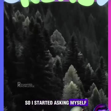 MCDONALDS MAKE 6.5 MILLION BURGERS A DAY