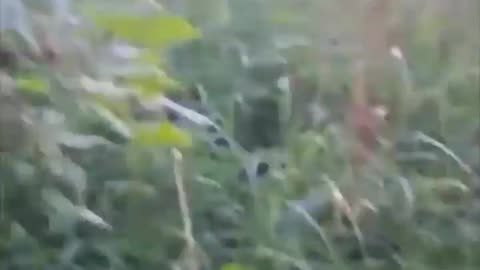🎯🛡️ Ukraine Russia War | Ukrainian Soldiers Down Russian FPV Drone | RCF