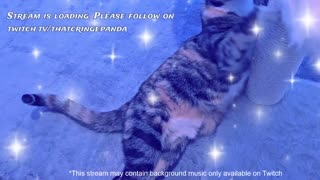Cringe Panda Gaming Stream