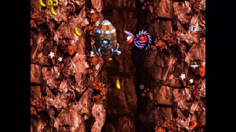 Donkey Kong Country 3 - Part 48
