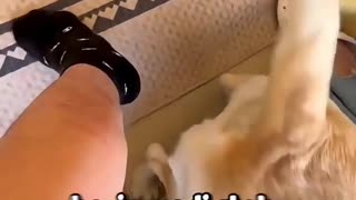 😂🤣 The Laugh is Priceless! | FunFM