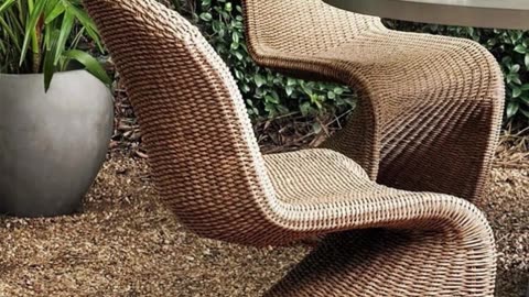 🌈Pet-friendly, people-approved. 🏡