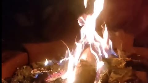 Daily Horoscope | Aries 🌟