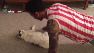 Shocking: Top 10 Funny Cat Videos - Funny Cats 2017