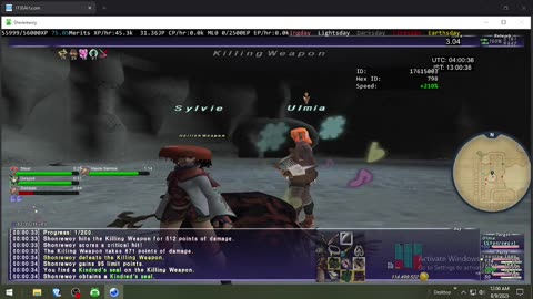 Playing Final Fantasy XI Online