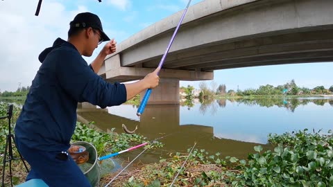 Catching Chub in a Picturesque River