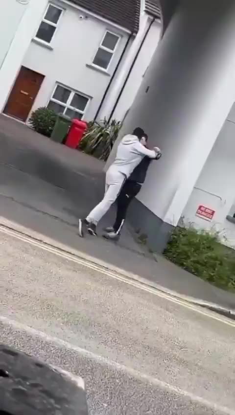 A foreigner that Ireland provided everything for repays our good will by bullying