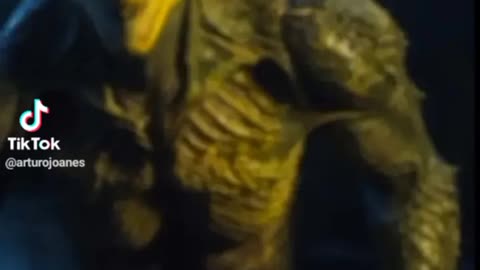 foto real de un reptiliano en sudáfrica