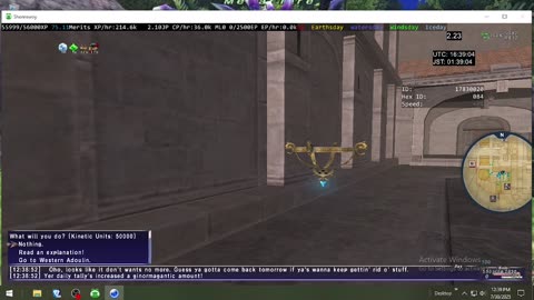 Playing Final Fantasy XI Online