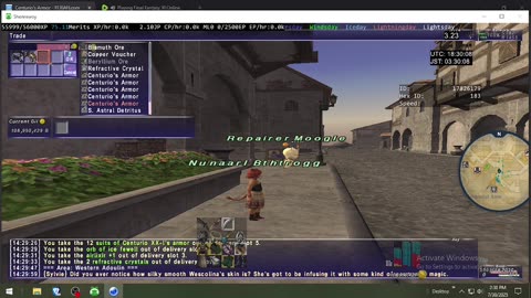Playing Final Fantasy XI Online