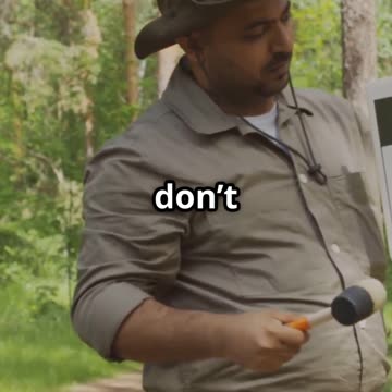 Would You Survive This Wild Animal Encounter?