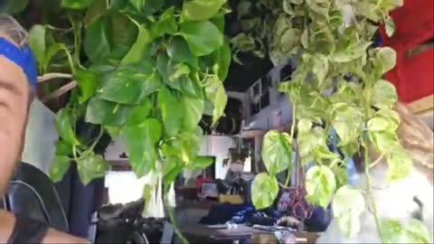 DIPSHIT - N - DRIVIN'