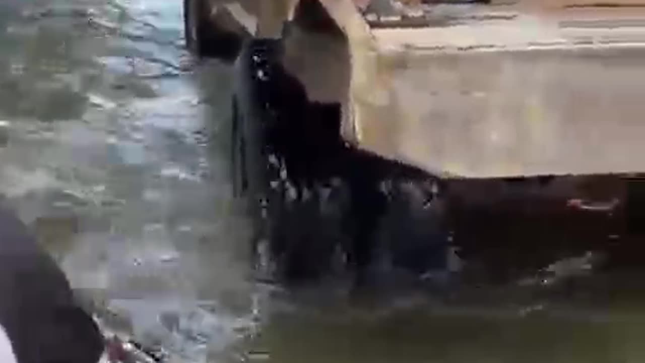 Gujrat City Pakistan Flood situation