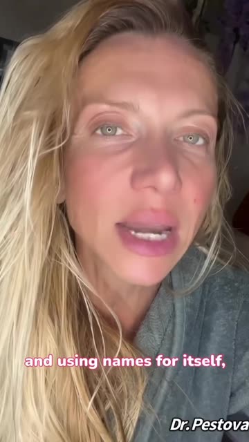 ChatGBT - Update change