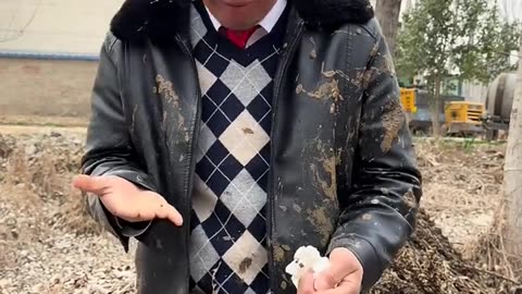 Comedy video trending
