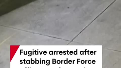 Fugitive who escaped custody after assaulting border officers arrested in Sydney #crime #sydney