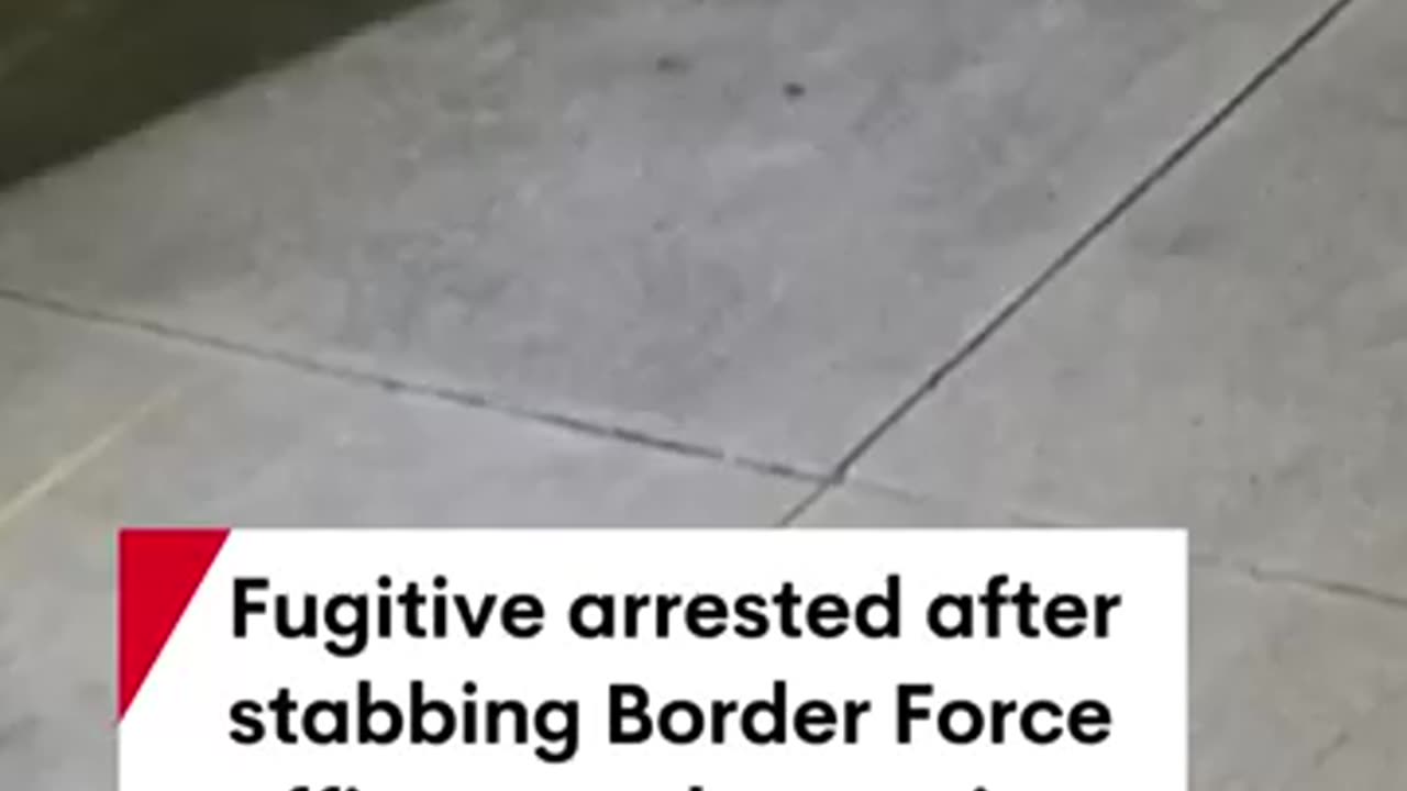 Fugitive who escaped custody after assaulting border officers arrested in Sydney #crime #sydney