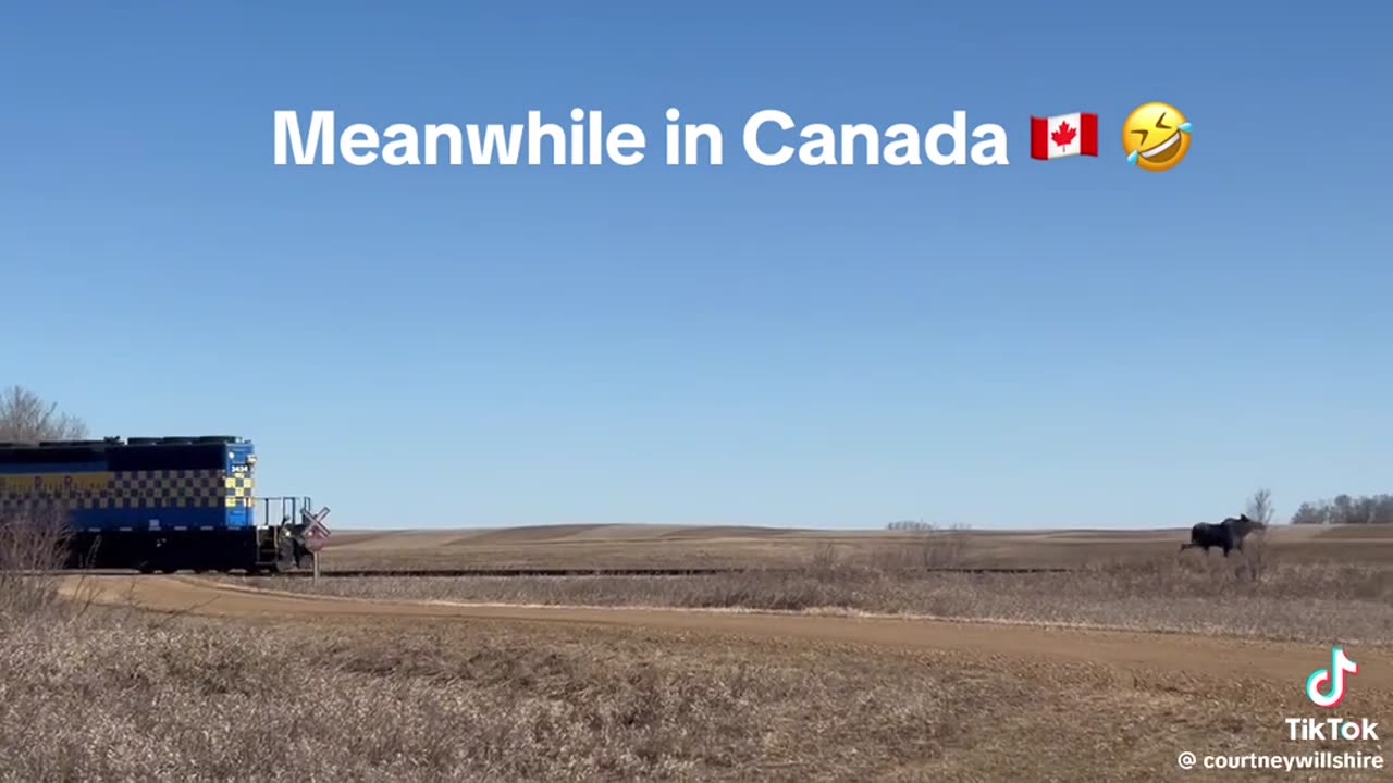 Meanwhile in Canada 🇨🇦😂