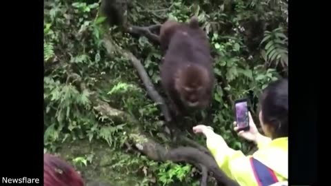 he Human-Animal Relationship: Which one is smarter?