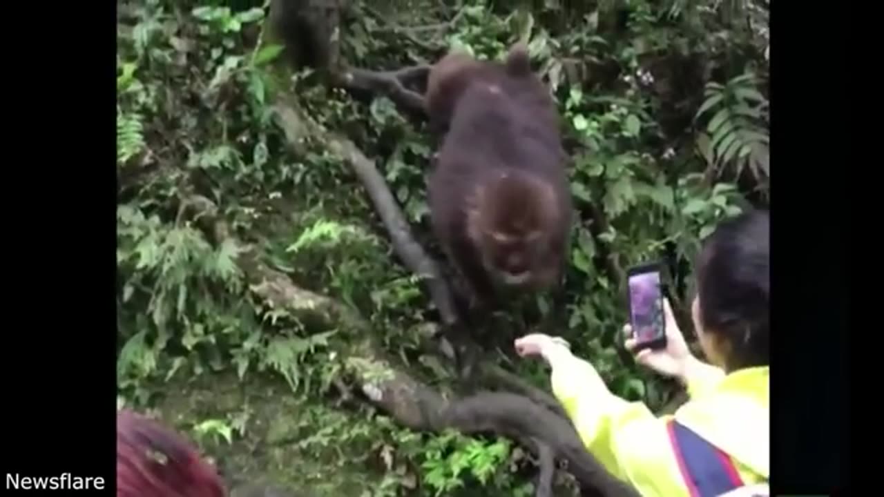 he Human-Animal Relationship: Which one is smarter?