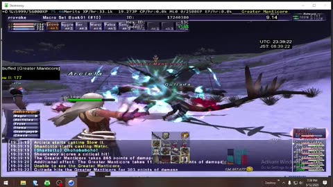 Playing Final Fantasy XI Online