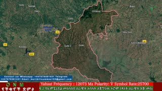 ሰኔ 19-2025 ONM-ABO እለታዊ የኦሮሞ ነፃነት ሰራዊትና የኦሮሚያ ውሎ!