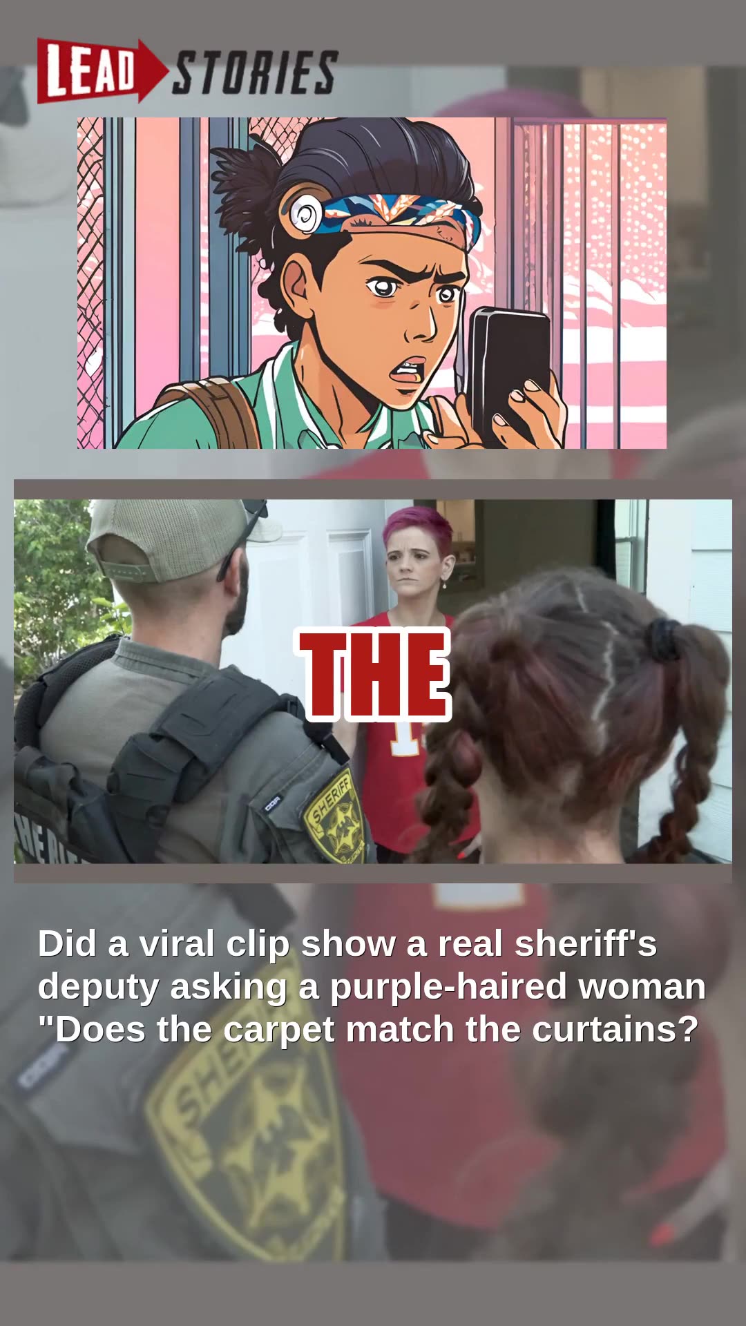 Fact Check: FAKE Video Shows Deputy Asking Purple-Haired Woman Does the Carpet Match the Curtains?
