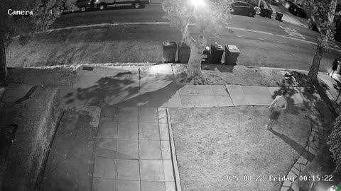 Neighbors Try To Help Screaming Stranger At Midnight
