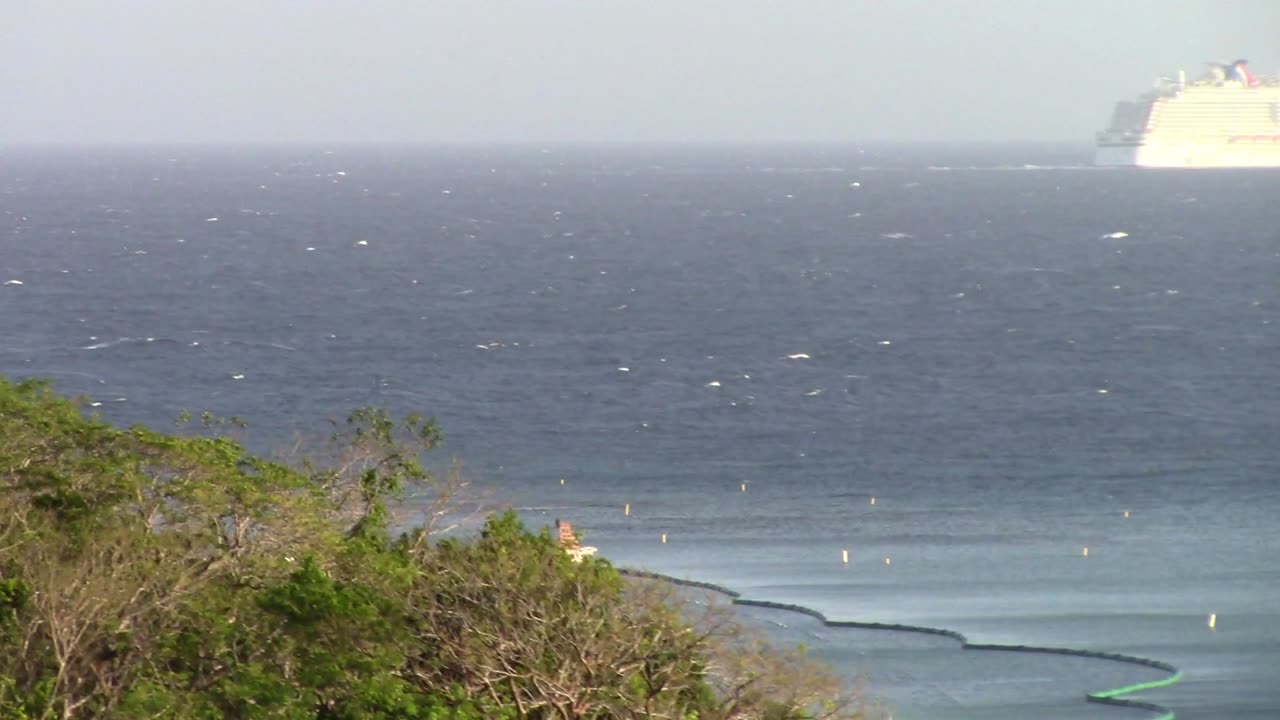 Cruise Ship on Ocean Creative Commons Stock Video