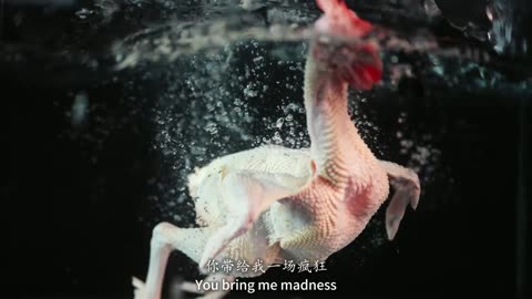 new style of cooking a chicken