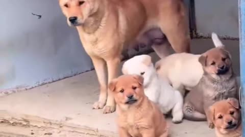 Beautiful family