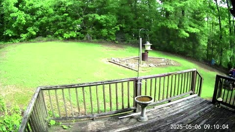 Lawn Maintenance