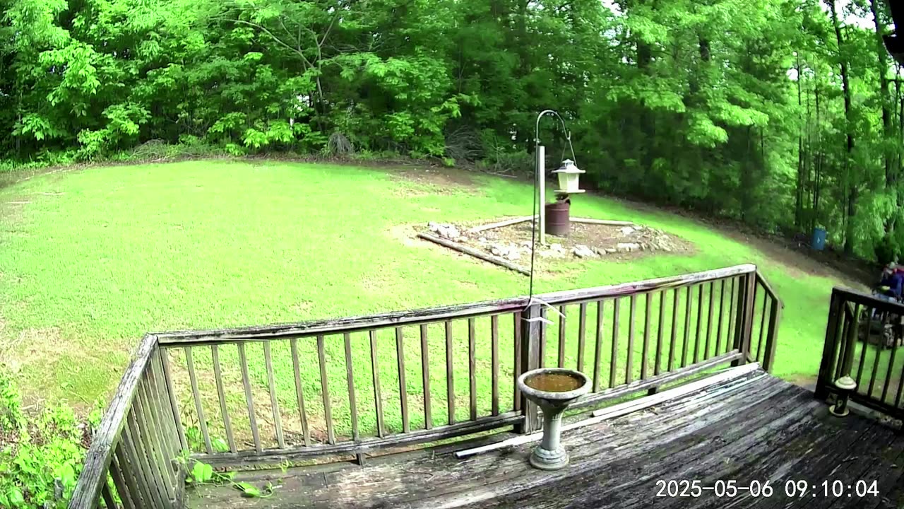 Lawn Maintenance