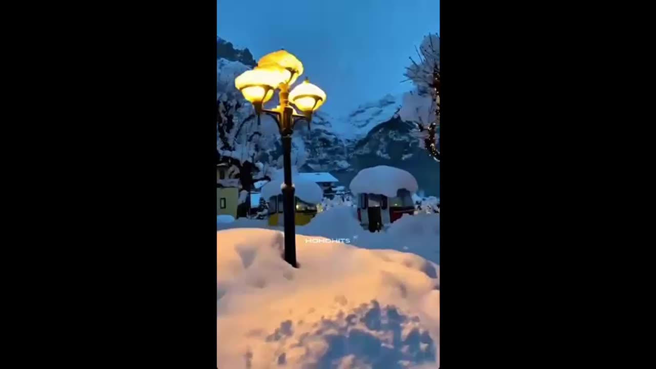 VERITAS VAULT🎄 PEACE ON EARTH🎄 MERRY X-MAS🎄 CRYPTO PROFITS 3X@DAY (001) TOP TEAM ROB BUSER