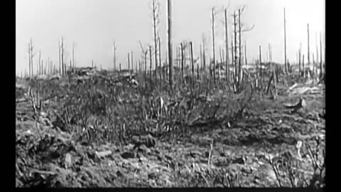 tiger_i_in_action_on_the_eastern_front_in_1943