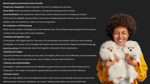 Debunking Myths: Do Cats Really Groom Themselves Enough? — The Pets Workshop