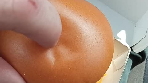 This is just sad - McDonald's Burger