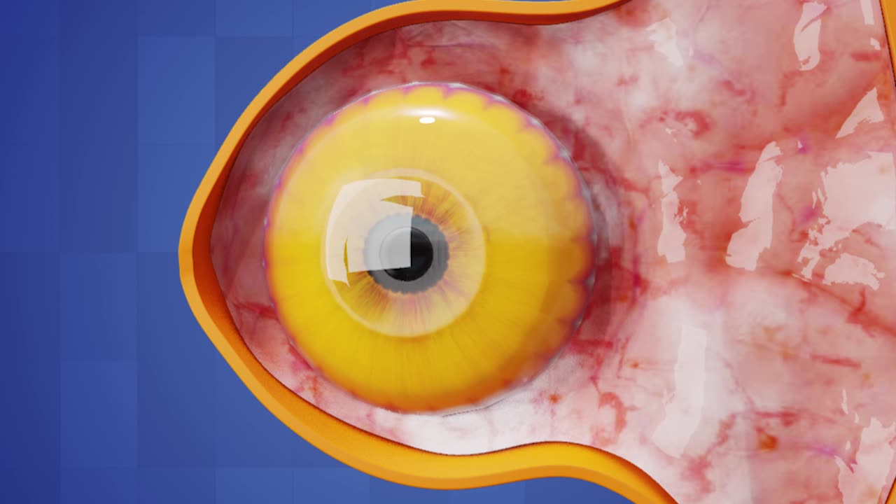 🦅 What If Humans Had Eagle Eyes? 👀✨