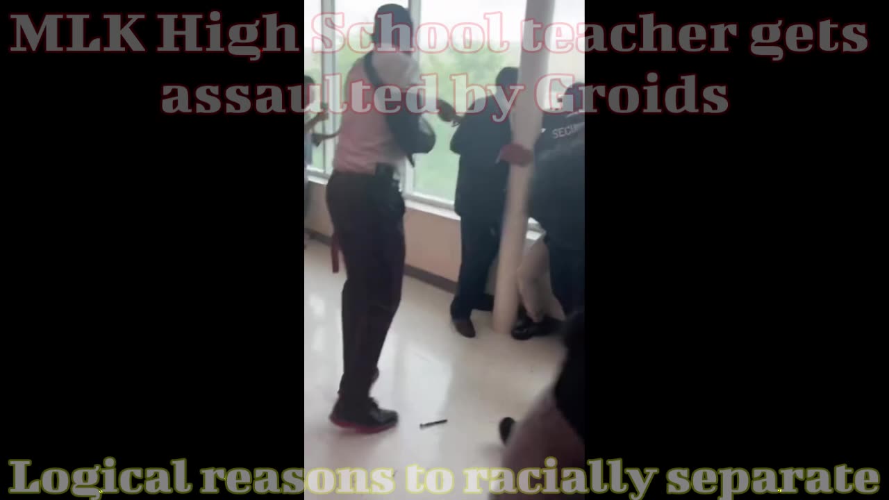 Martin Luther King highschool teacher brawls with Negroid class