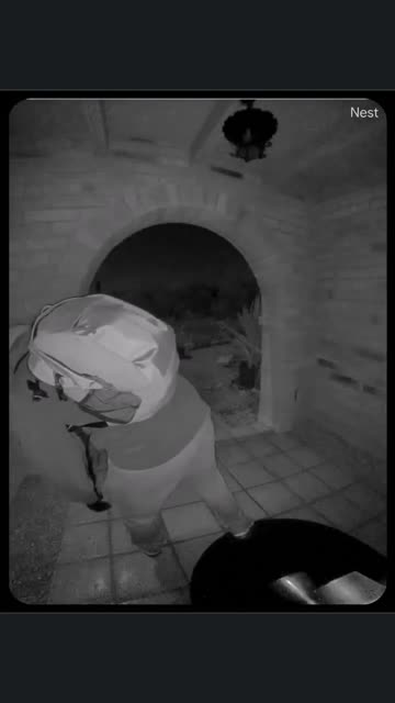 New video in the search for Nancy Guthrie