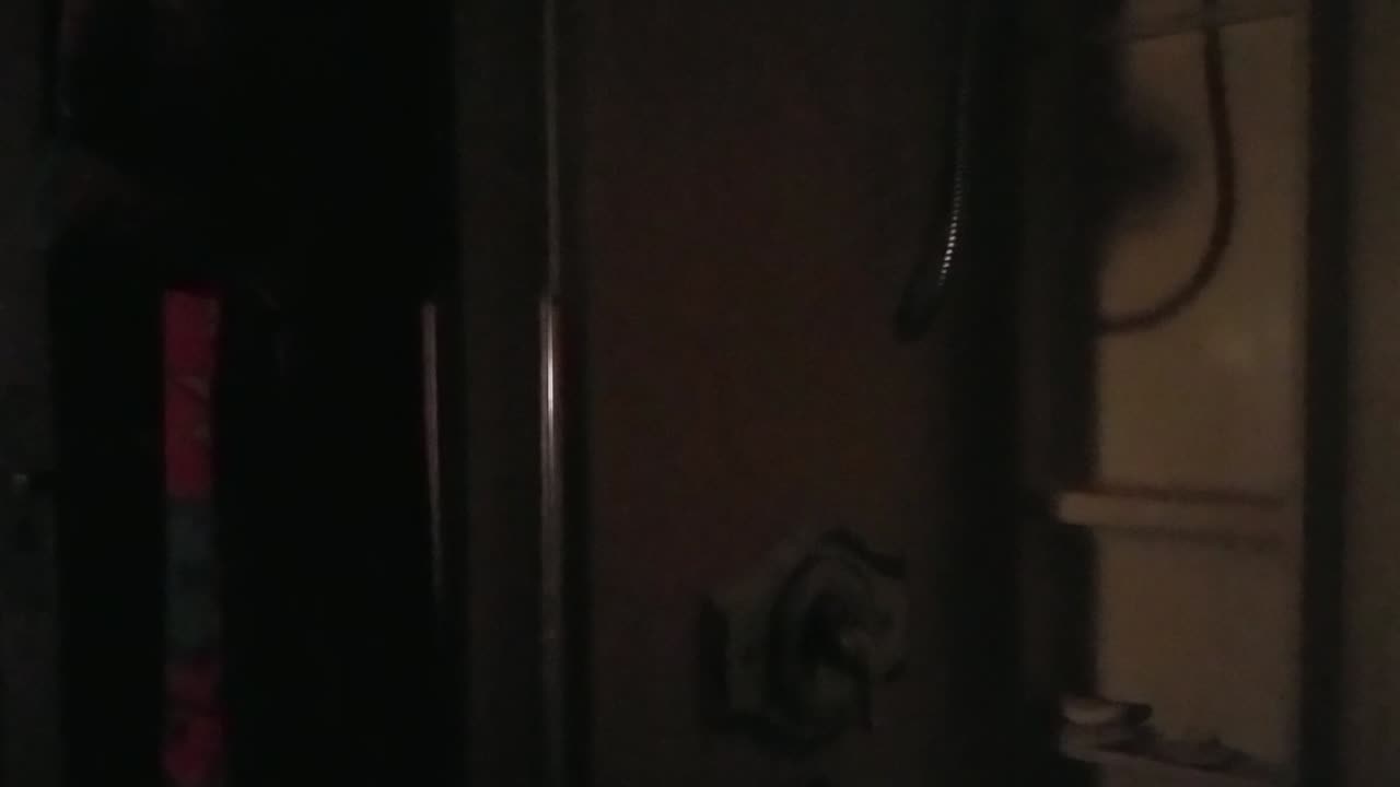 Raging Predvidians trying to Project and Deflect 😂🐓🦆🤡