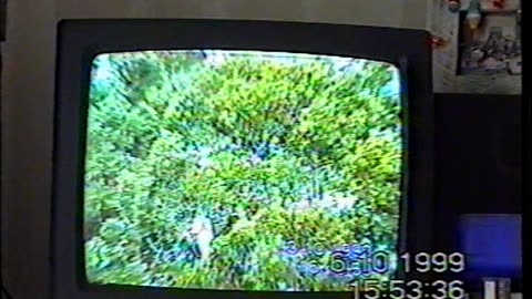 1999 10 6