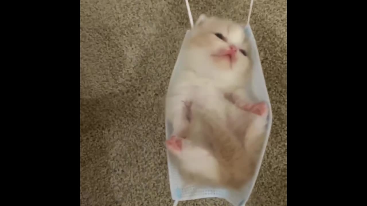 I want little strawberry