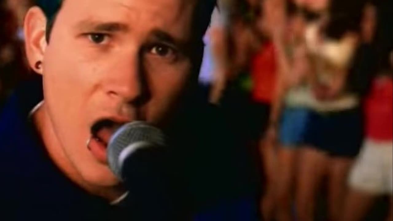 What Does Blink 182 'Rabbit Hole' Mean?