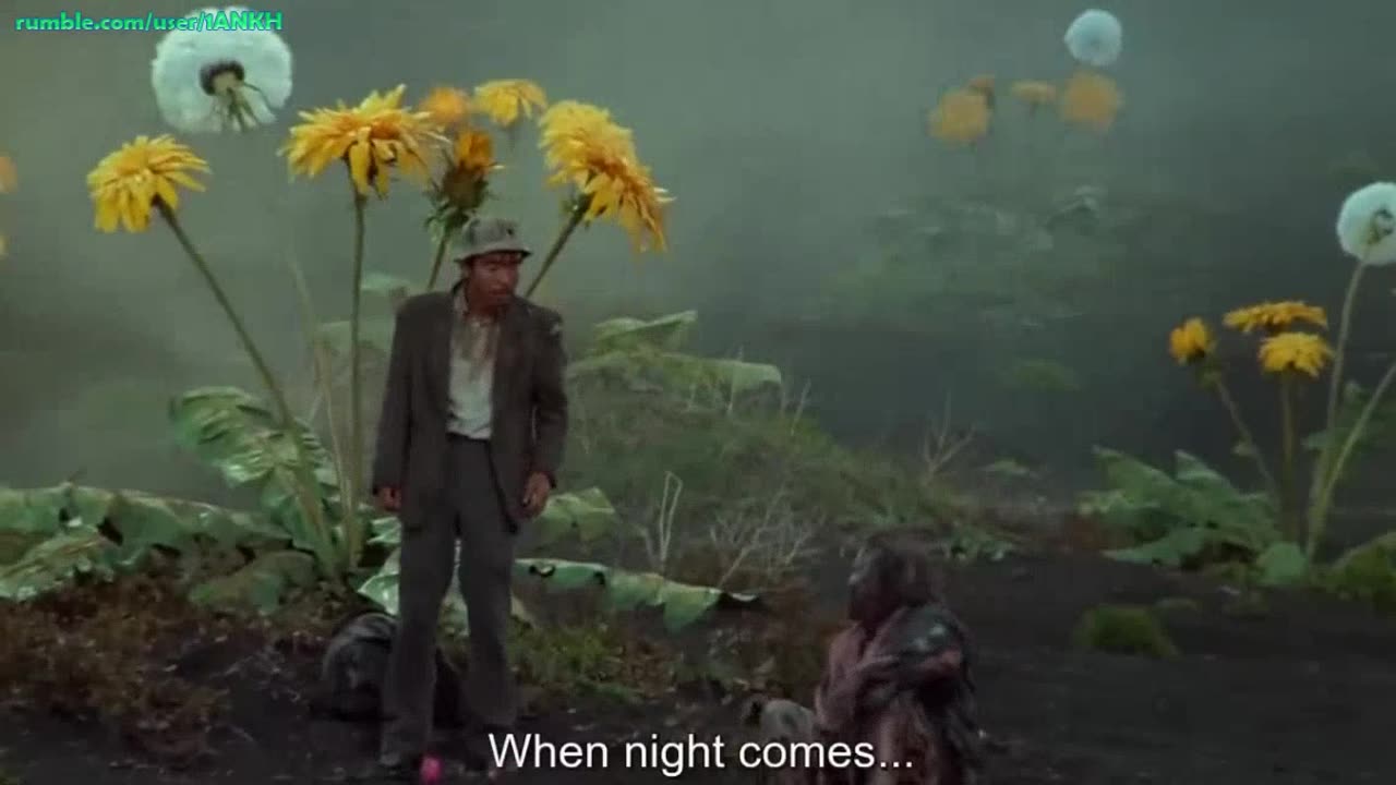 Real truth! Mutant Monstrosity Dandelion - radioactive world fallout FUKUSHIMA