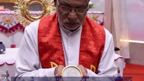 India's Eucharistic Miracle CATHOLIC NEWS ROUNDUP - Christine Niles