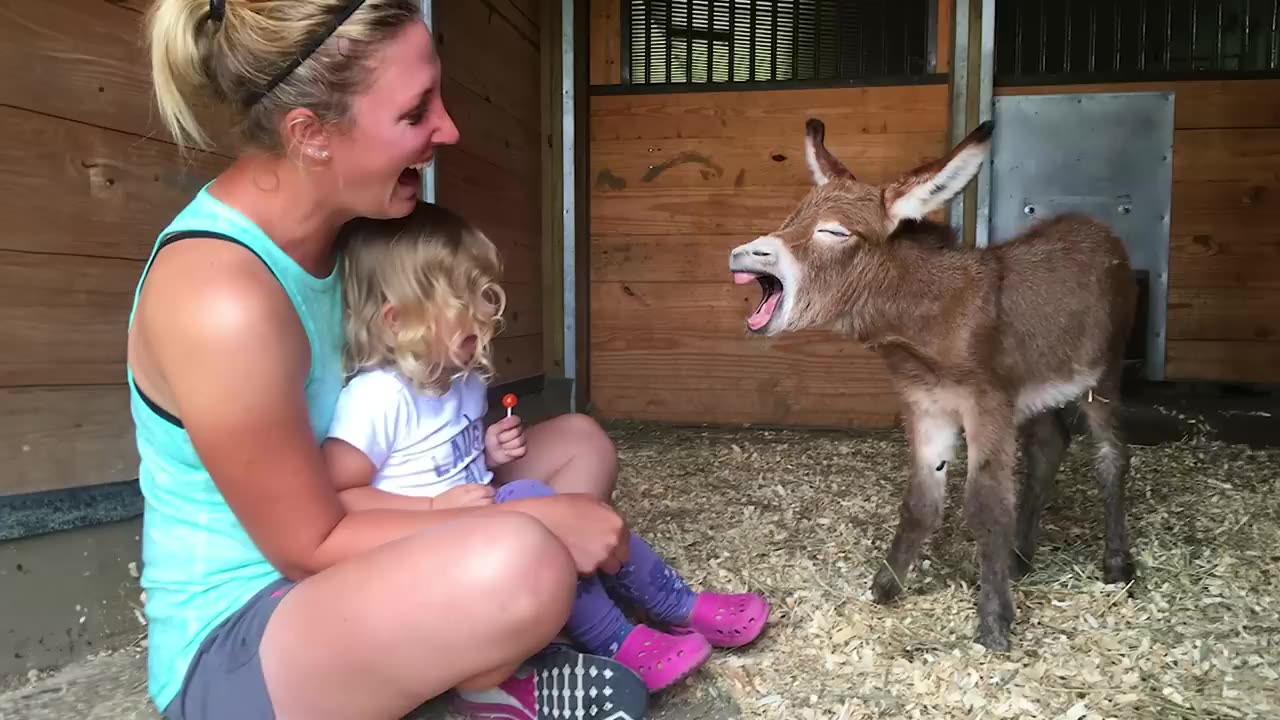 Try Not to Laugh! Funniest Animal Fails & Cute Moments of 2025 ππΆπ±